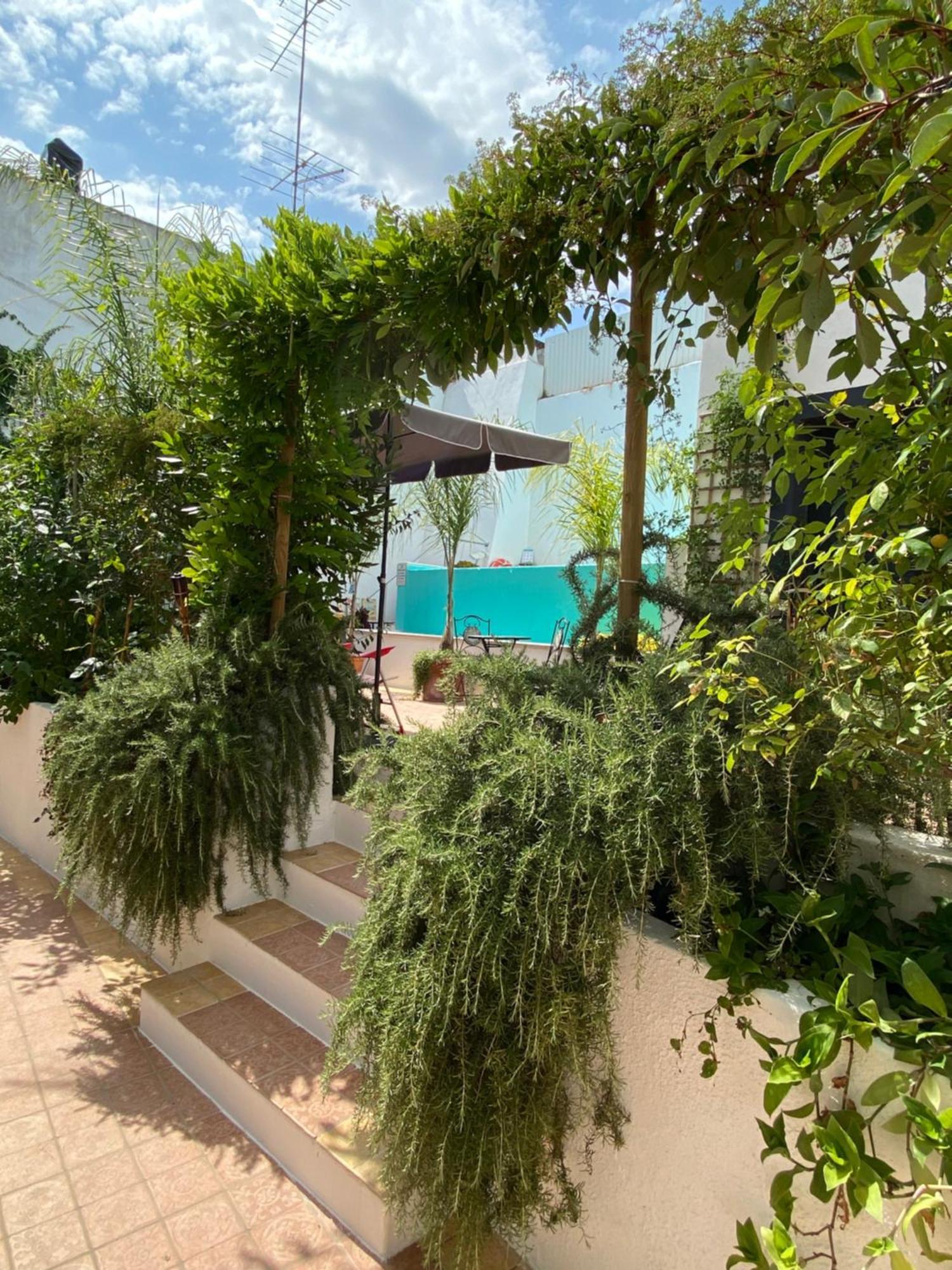 Patio Da Villa - Coruche Boutique Guest House Exterior foto